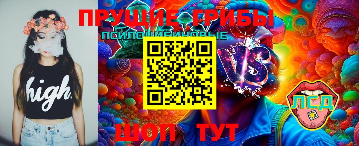 Галлюциногенные грибы прущие грибы Ухта