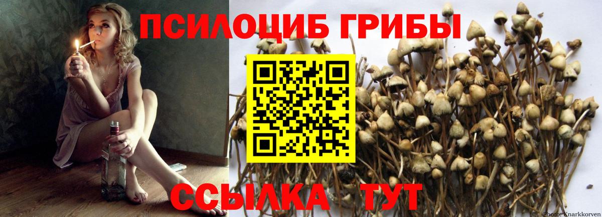 Галлюциногенные грибы MAGIC MUSHROOMS  Вход с VPN  Ухта 