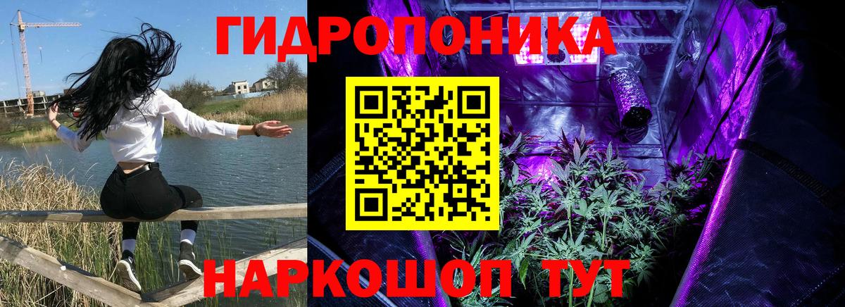 Шишки марихуана сатива  МАРИХУАНА AK-47  Ухта  Вход с VPN  МАРИХУАНА THC 21%  Бошки марихуана AK-47 
